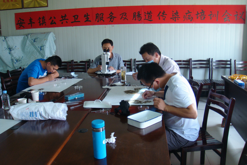 复件 DSC09399.JPG