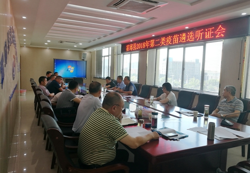 证会1.jpg